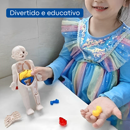 Quebra-Cabeça Corpo Humano | JoyHuman™